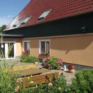 Studio mit Kingsize-Bett